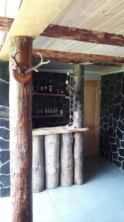 Guesthouse Javakhe Omalo Ngoại thất bức ảnh